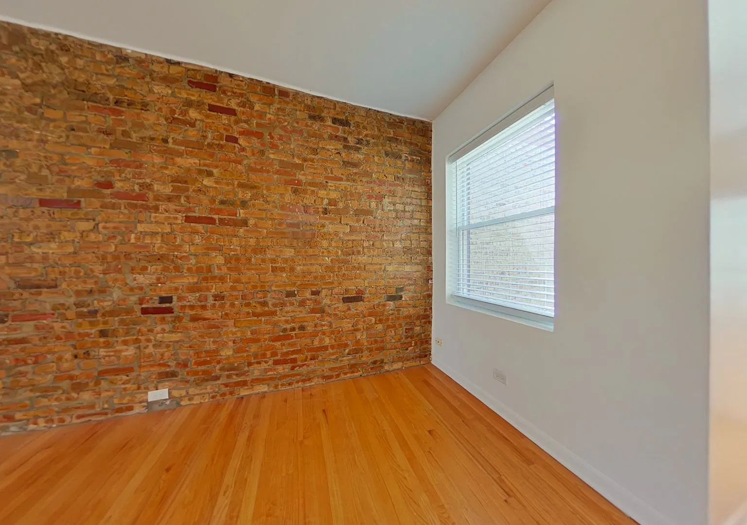 1307-17 W. Addison — Photo 4