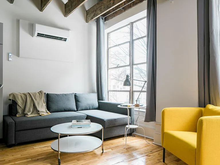 Designer furniture includes built-in storage and pull out bed