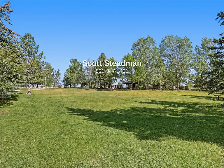 14784 S Dryburg Cv — Photo 44