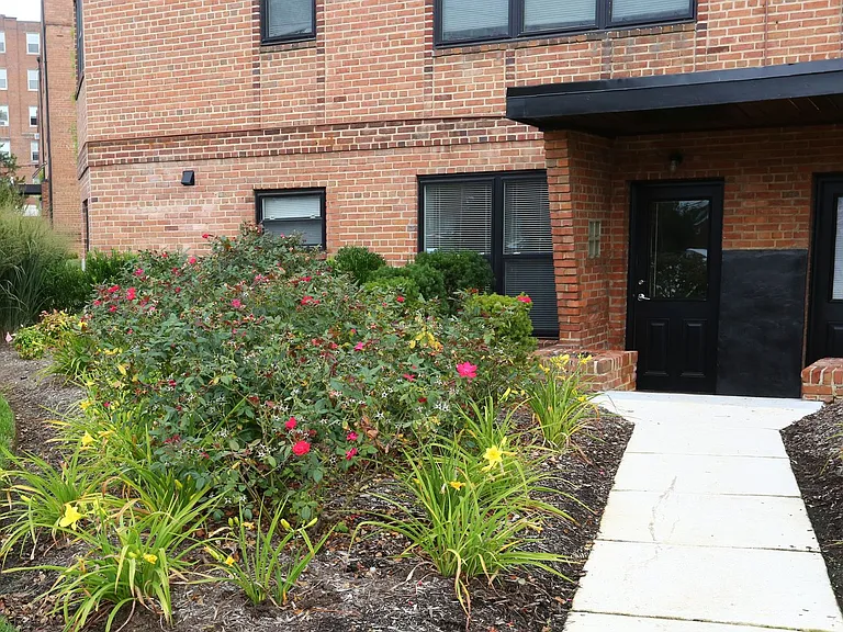 Takoma Flats — Photo 50