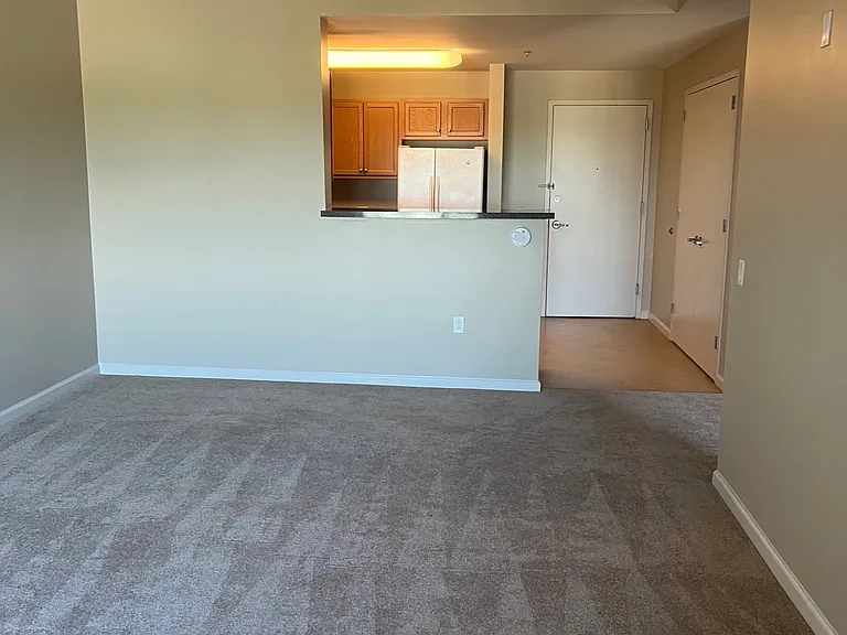Entrance of the apt