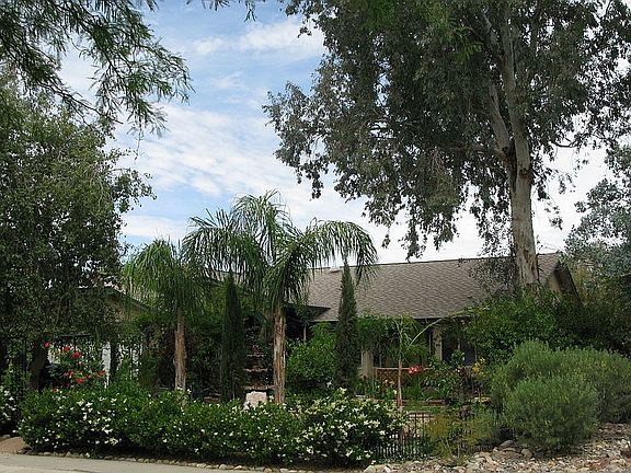 Alternate View of Front Yard