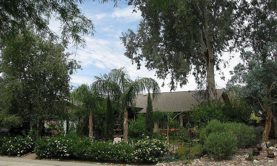 Alternate View of Front Yard