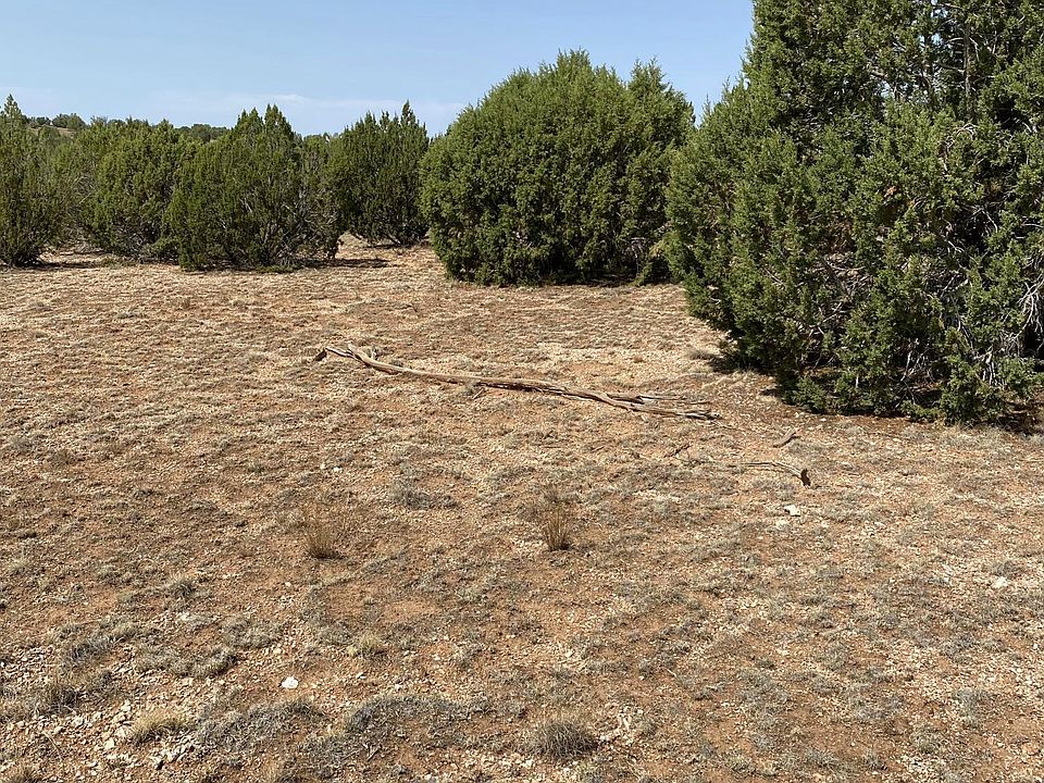 2nd image of 58795 Rana Rd Lot 5251