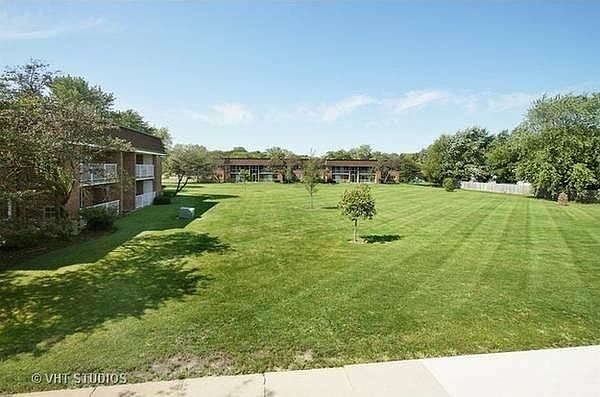 Large communal backyard