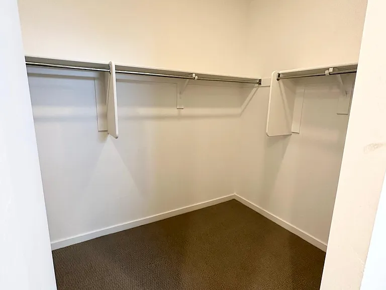 master walk-in closet