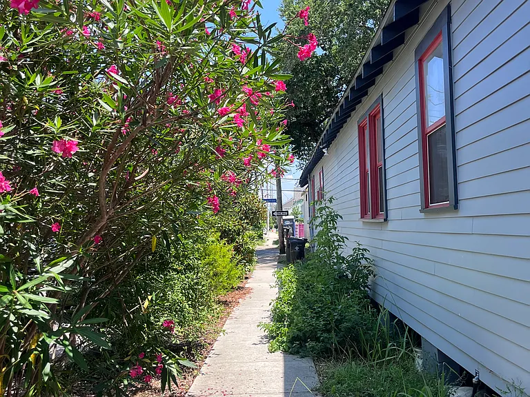 corner house, ample street parking. established flowers, figs and pomegranate along side of the house