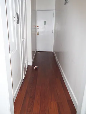 Rented by Bohemia Realty Group | media 10