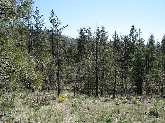 3rd image of Xx Coyote Canyon Rd