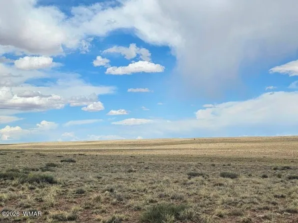 7670 Prairie St, Sun Valley, AZ 86029