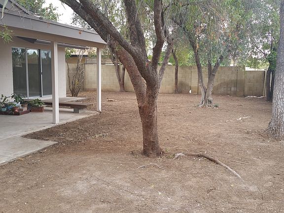 1/2 back yard with  trees