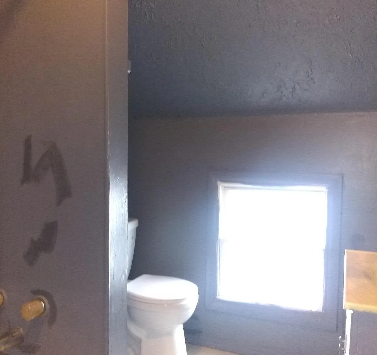 1 bed, 308 sqft, $800 — Photo 3