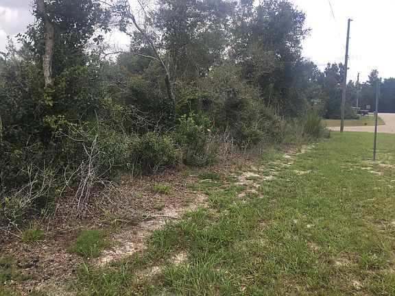 5th image of 1642 N Merrick Dr