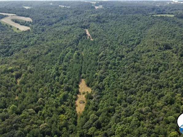 /highway #79, Blountsville, AL 35031