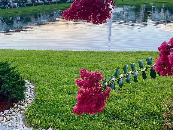 5th image of 6590 Arching Branch Cir