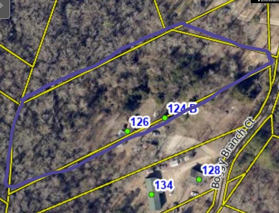 2nd image of 124 Boggy Branch Ct