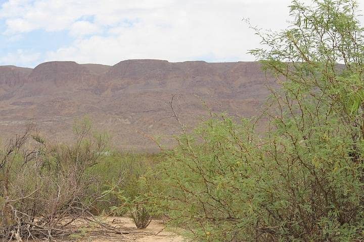 1st image of Tr4528 Terlingua Rnch