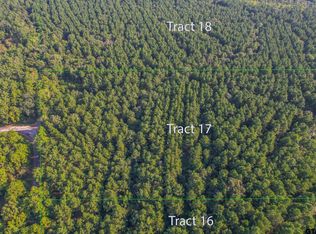 TRACT 17 County Road 4224, Frankston, TX 75763