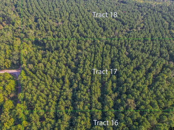 TRACT 17 County Road 4224, Frankston, TX 75763