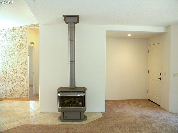 Fireplace Propane - # 1