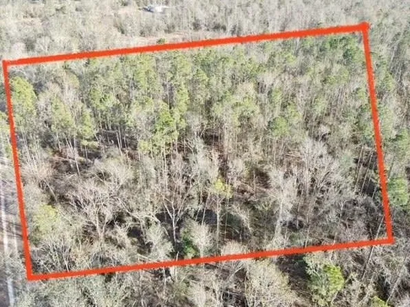 0 NE Cedar Trl, Pinetta, FL 32350