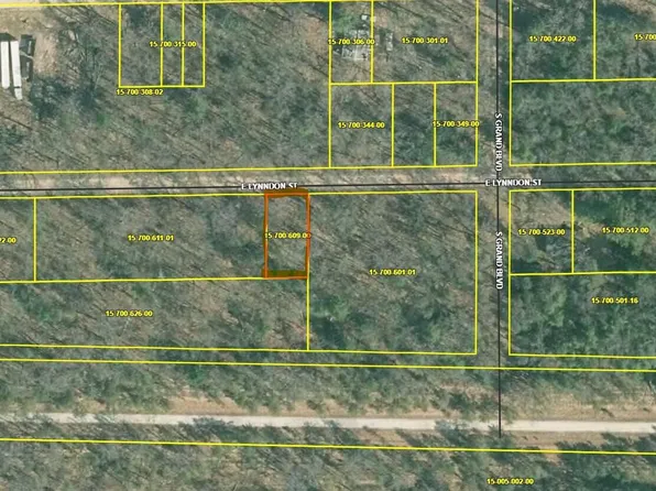 Vl E Lynndon St, Idlewild, MI 49642