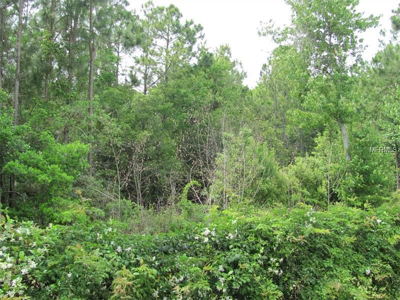 2nd image of 10614 Park Place Dr