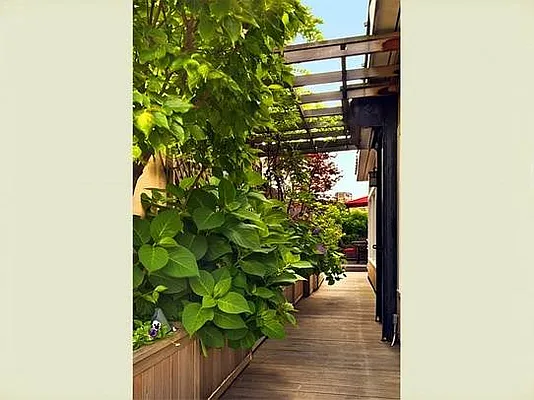 Sold by Stribling | media 15