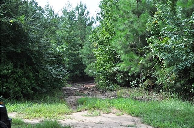 1st image of 824 Whitehead Dr