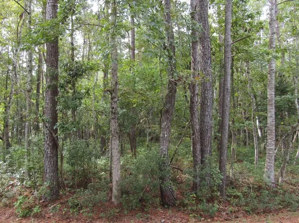 5 Mashie Ct, Carolina Shor, NC 28467