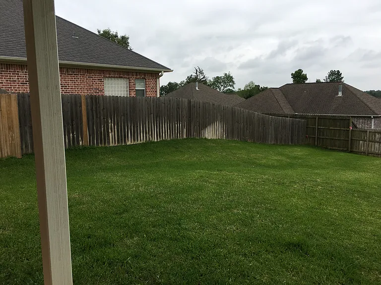 Backyard Left