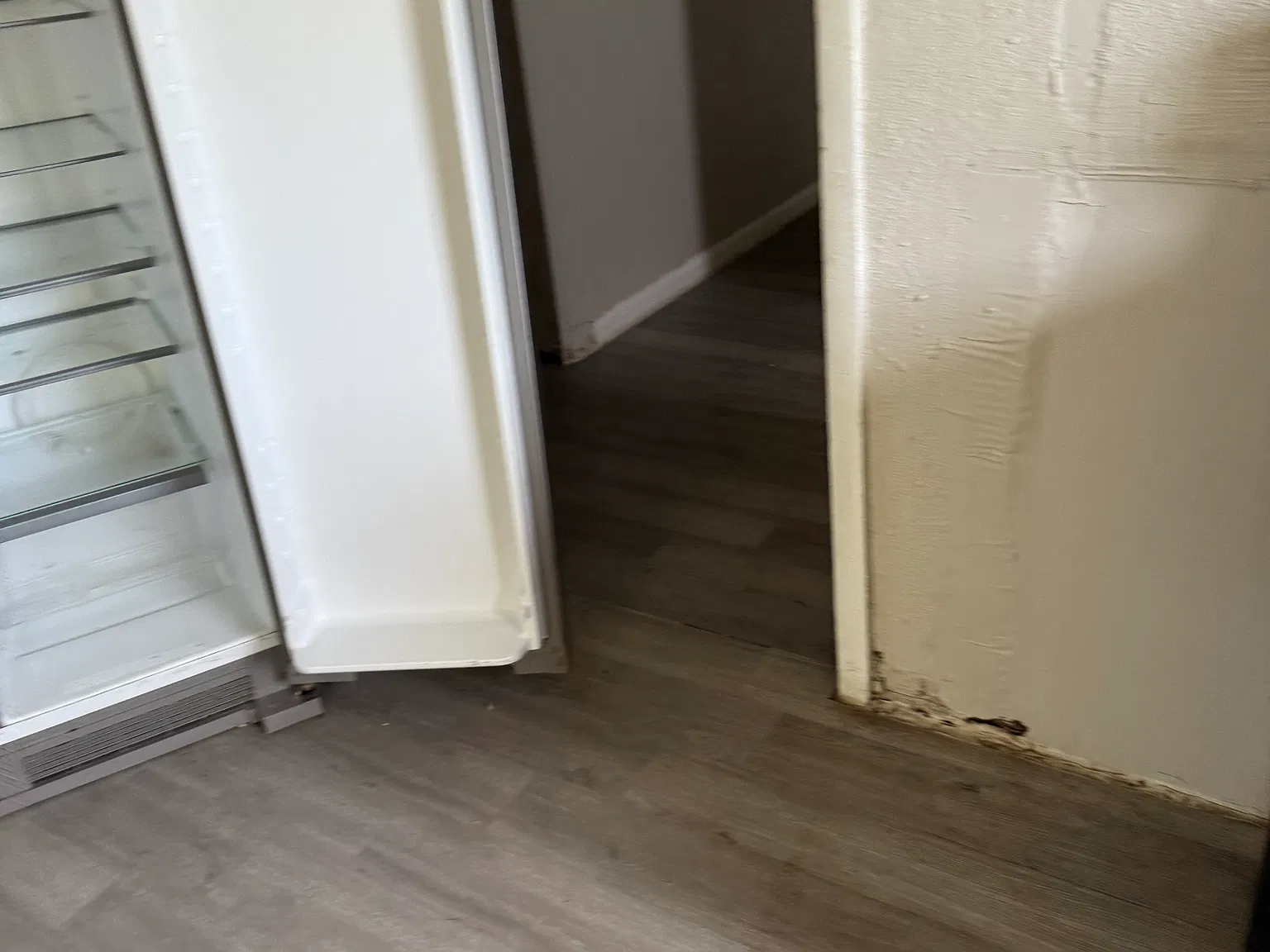 2 bed, 832 sqft, $900 — Photo 2