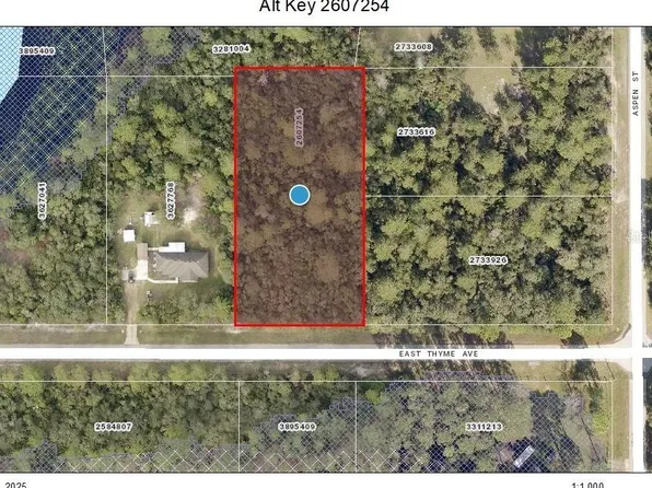 LOT 9 E Thyme Ave Lot 9, Eustis, FL 32736