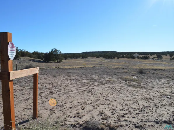 Woodview Dr, Prewitt, NM 87045