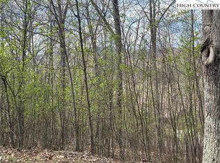 TBD (Lot 24) E Landing Ridge Circle, Jefferson, NC 28640
