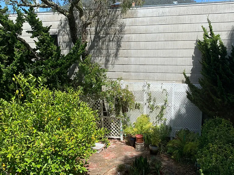 Backyard/Garden