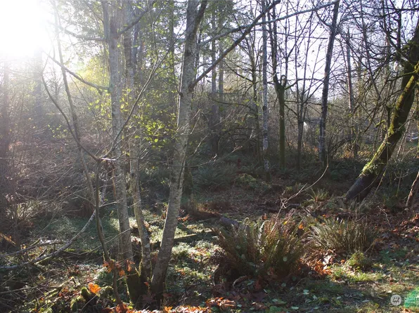 7633 Mockingbird Drive SE, Olympia, WA 98513