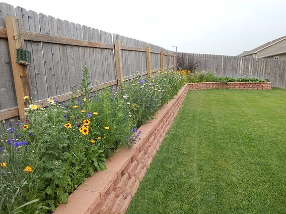 backyard/retaining wall