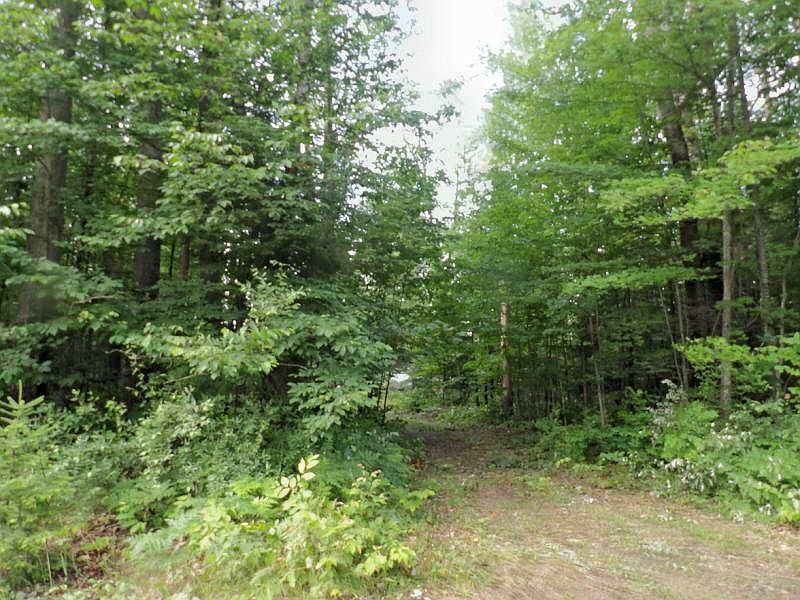 2nd image of 3741 Forest Trl #159