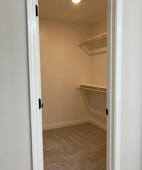 2301 Bitternut Dr — Photo 8
