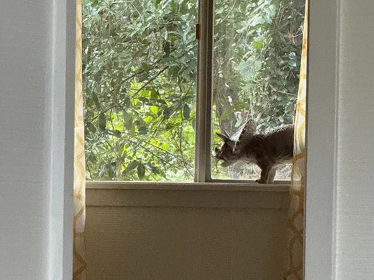 "I get by with a little help from my friends"
Secluded - surrounded by trees
