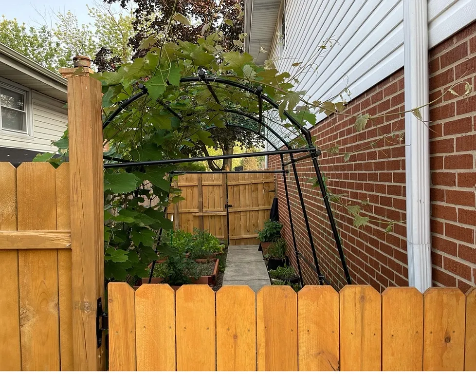 Property photo 5