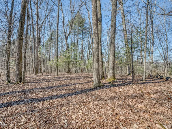 Tbd Cleveland Rd, Abingdon, VA 24211