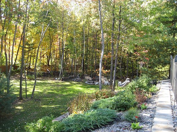 View of backyard from corner of pool