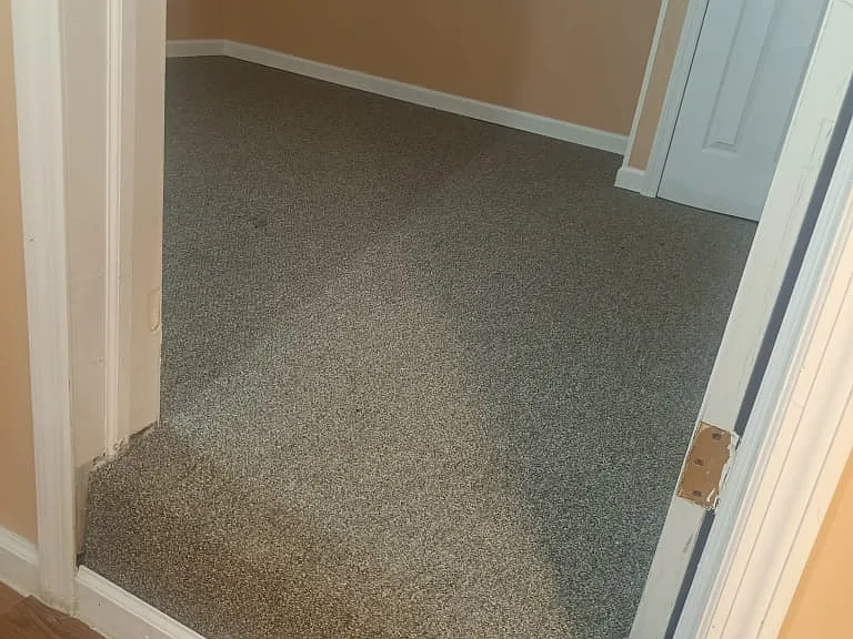 4160 Baychester Ave #1 — Photo 9