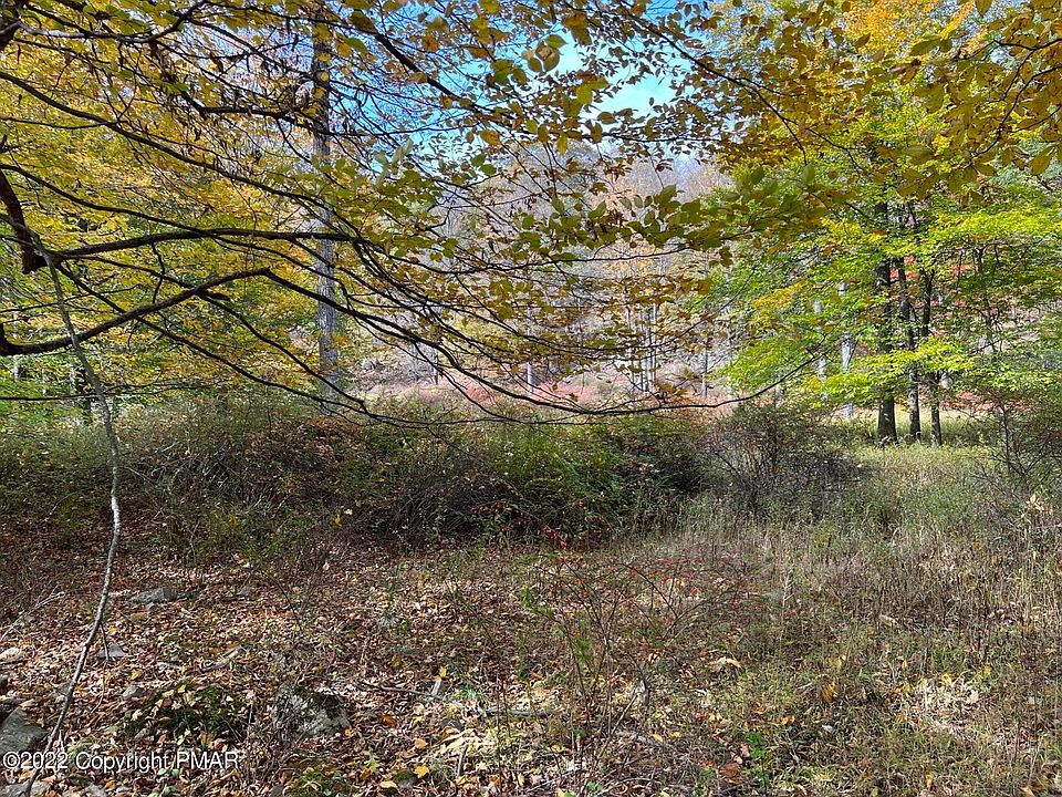 2nd image of State Route 447 #6