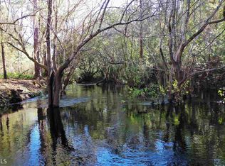 12323 Highway 185, Moniac, GA 31562