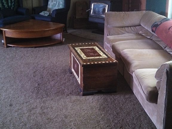 Family room wood stove