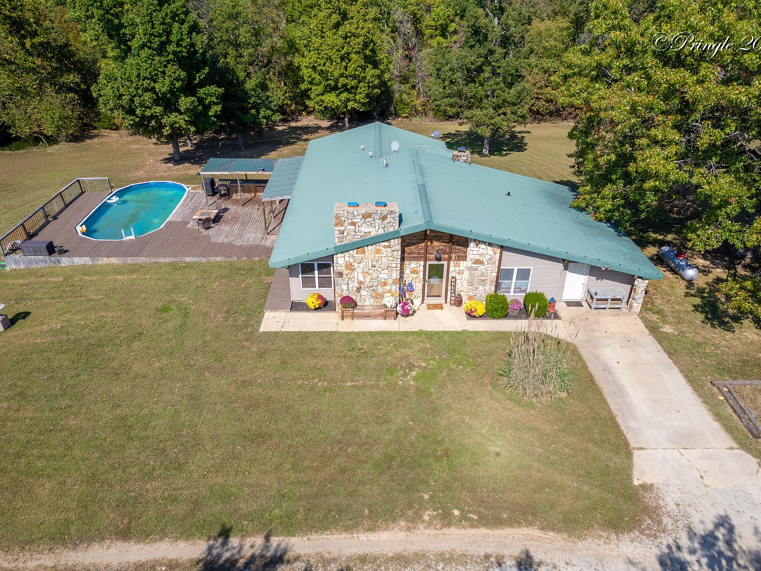 將軍17 Shock Absorber 314 213