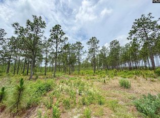 0 Neely Wingard Rd LOT 11, Gilbert, SC 29054